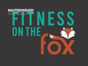 fitness on the fox balitteknologikaret