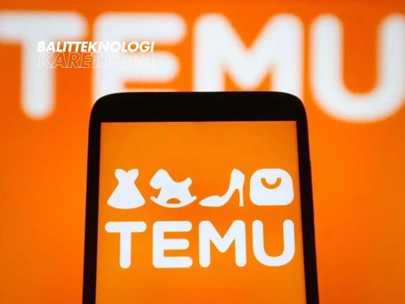 What is Temu?